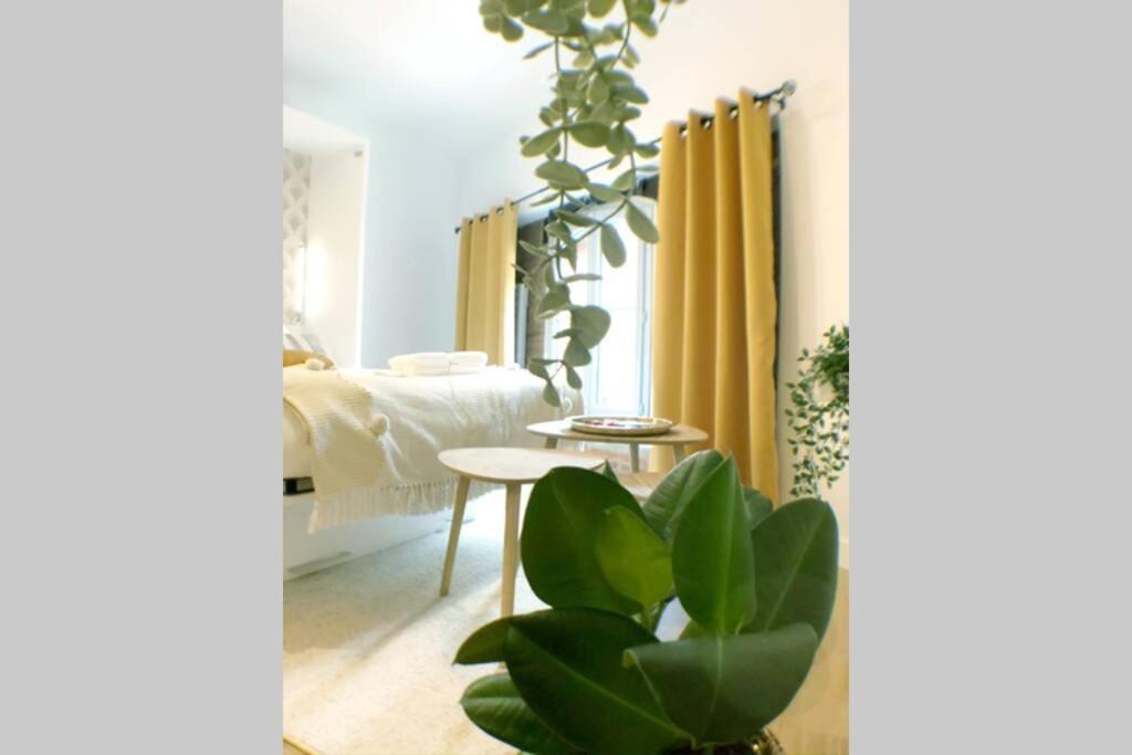 Le Floral - Hypercentre Capitole # Parking Prive # Queen Size Тулуза Екстер'єр фото